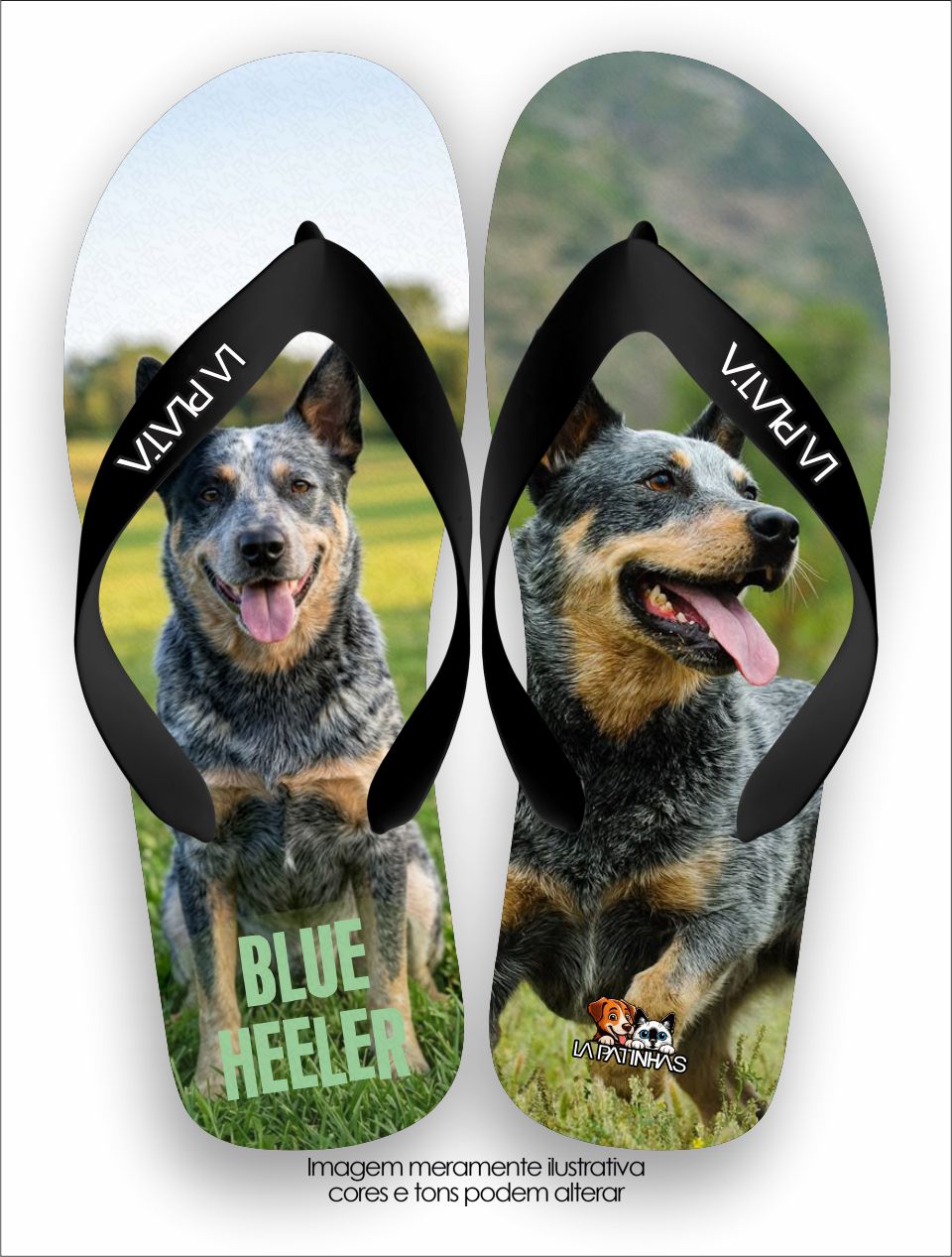 Chinelo Tradicional La Patinhas Dogs Blue Heeler