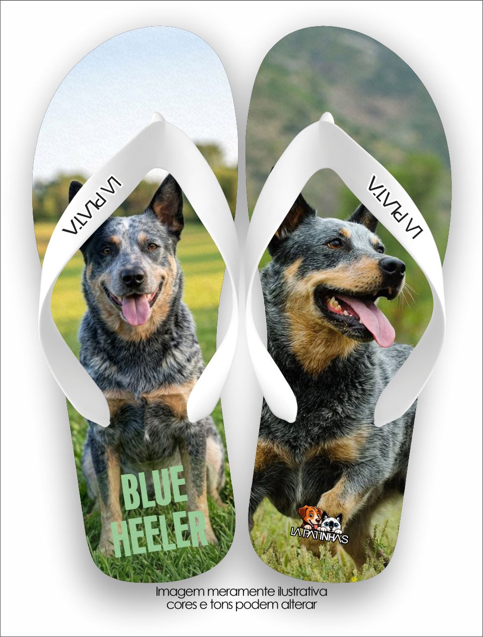 Chinelo Tradicional La Patinhas Dogs Blue Heeler