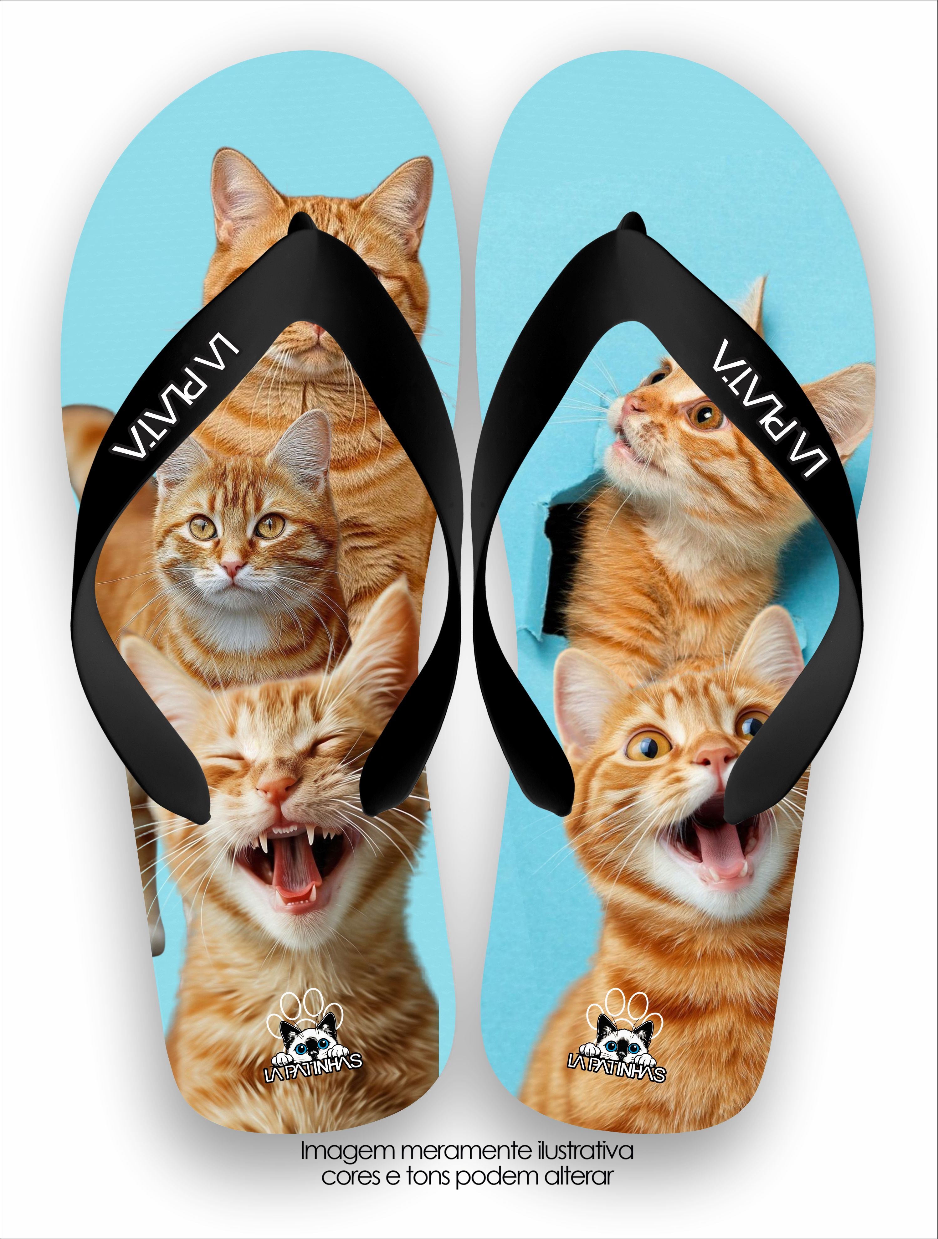Chinelo Tradicional La Patinhas Cats Love