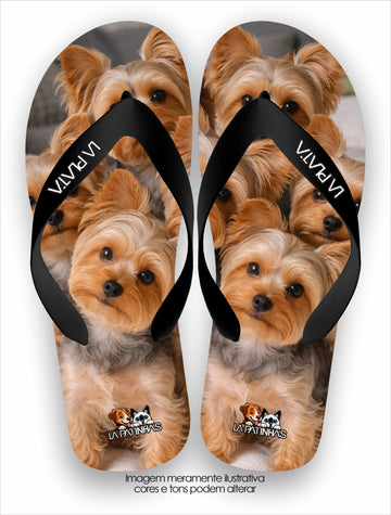 Chinelo Tradicional La Patinhas Dogs Yorkshires