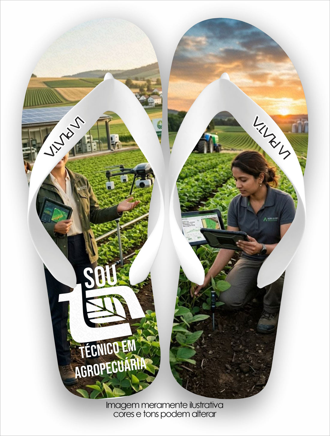 Chinelo Tradicional La Agro Brasil Técnico em Agropecuária