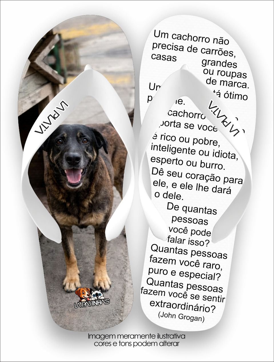 Chinelo Tradicional La Patinhas Dogs De Coração
