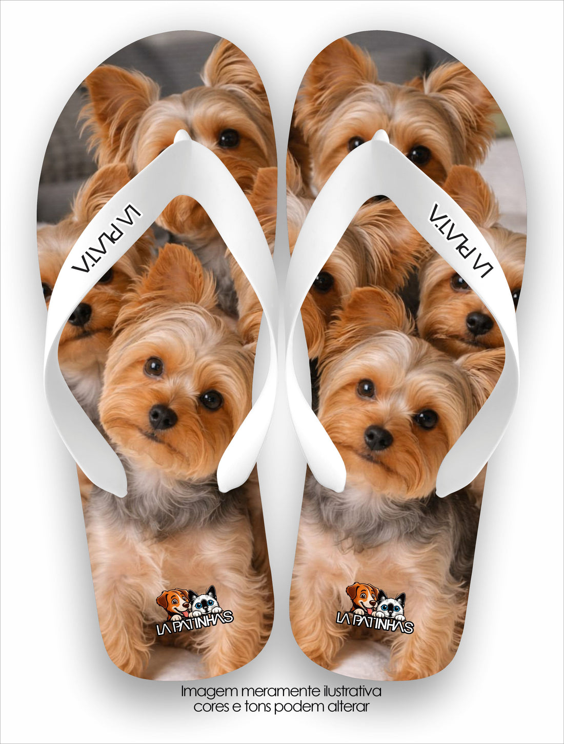Chinelo Tradicional La Patinhas Dogs Yorkshires