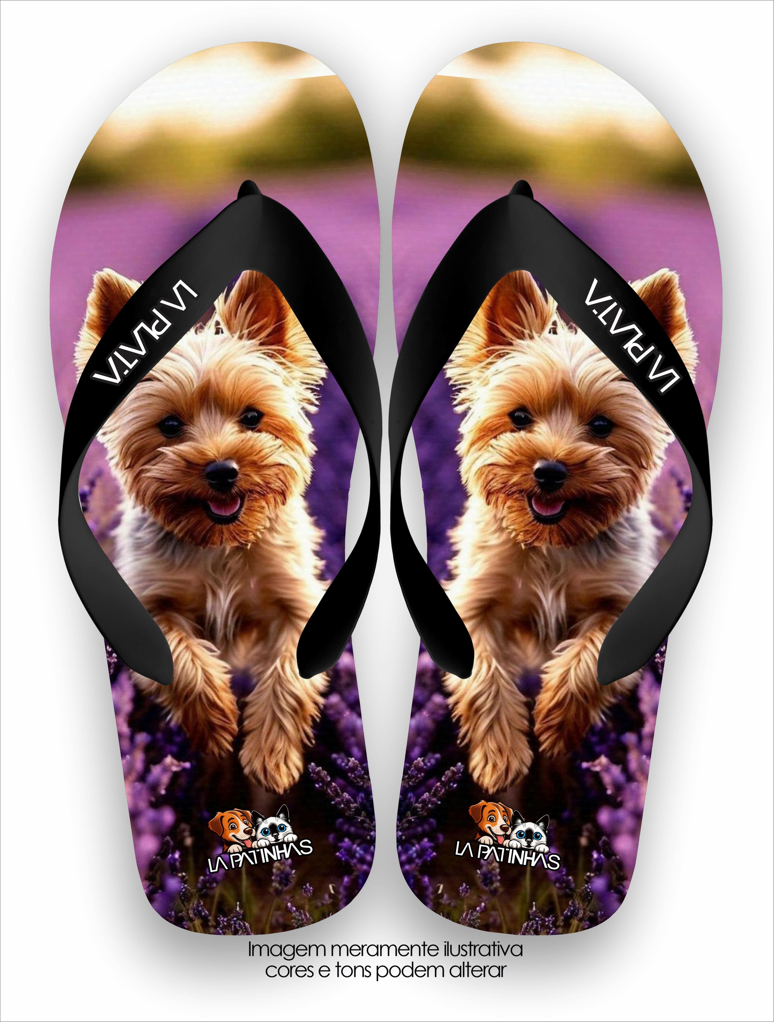 Chinelo Tradicional La Patinhas Dogs Yorkshire Terrier