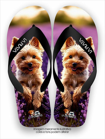 Chinelo Tradicional La Patinhas Dogs Yorkshire Terrier