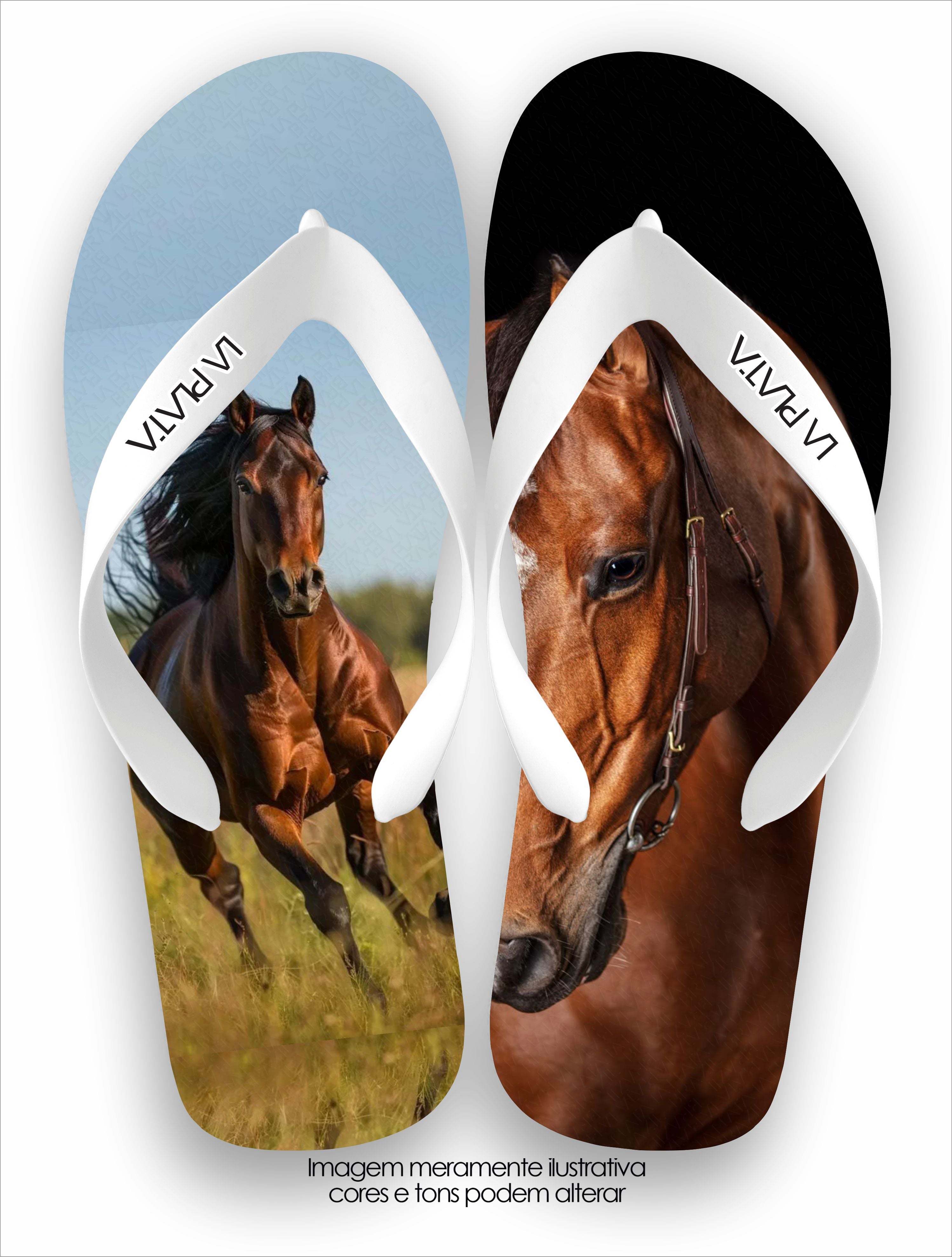 Chinelo Tradicional La Agro Brasil Cavalo