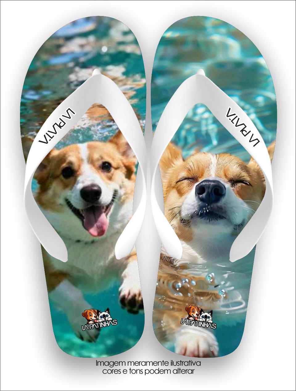 Chinelo Tradicional La Patinhas Dogs Aqua Corgi