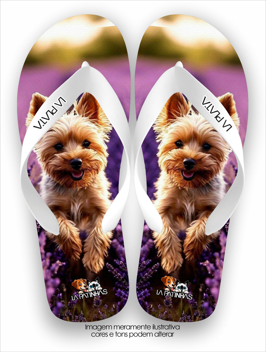 Chinelo Tradicional La Patinhas Dogs Yorkshire Terrier