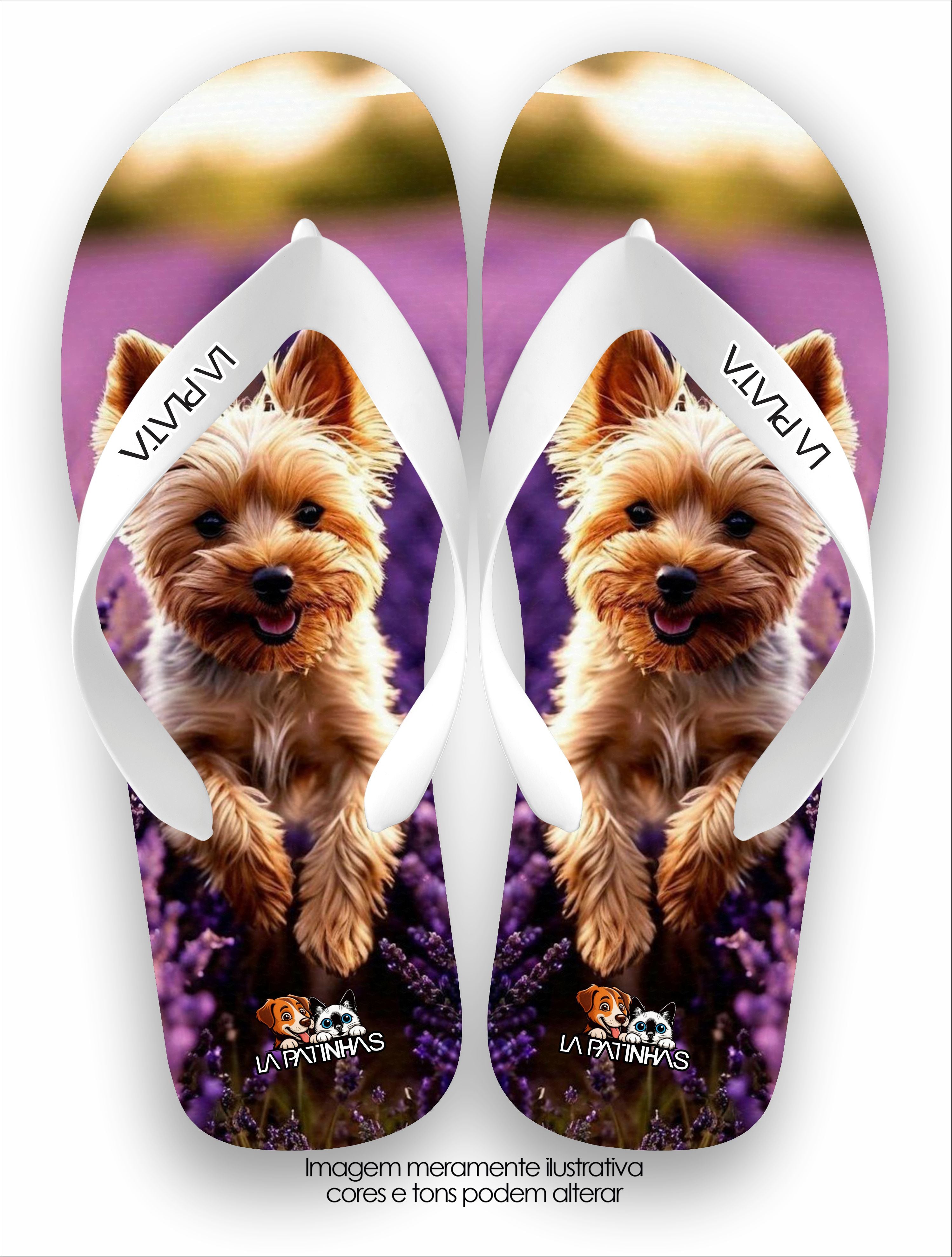 Chinelo Tradicional La Patinhas Dogs Yorkshire Terrier
