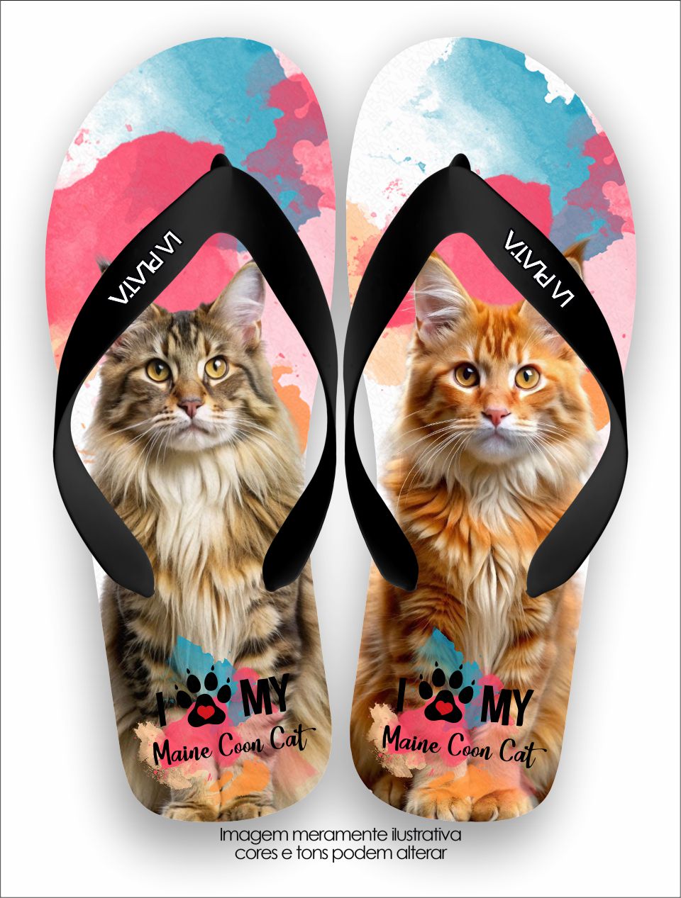 Chinelo Tradicional La Patinhas Cats Gato Maine Coon