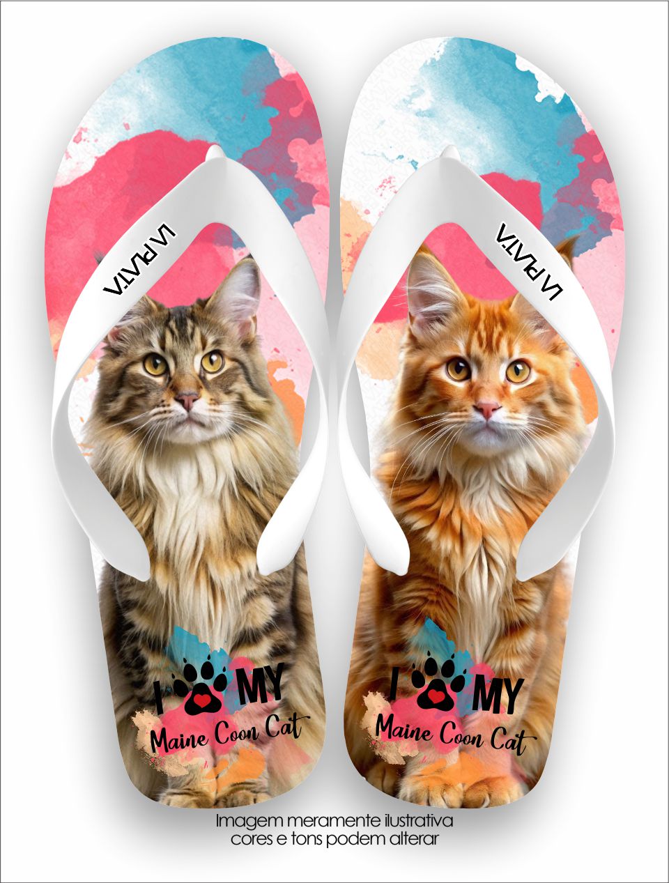 Chinelo Tradicional La Patinhas Cats Gato Maine Coon