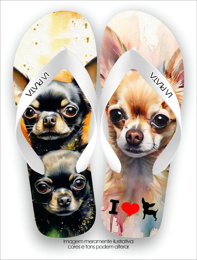 Chinelo Tradicional La Patinhas Dogs Chihuahua