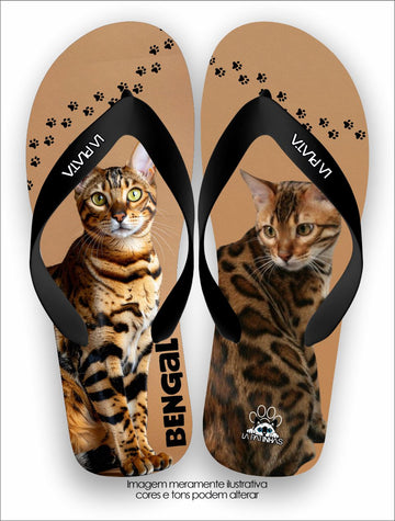 Chinelo Tradicional La Patinhas Cats Gato Bengal