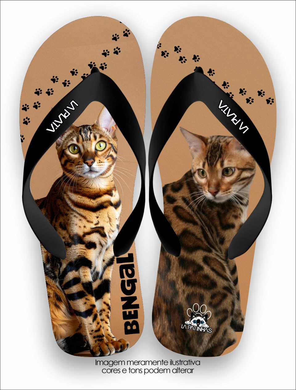 Chinelo Tradicional La Patinhas Cats Gato Bengal