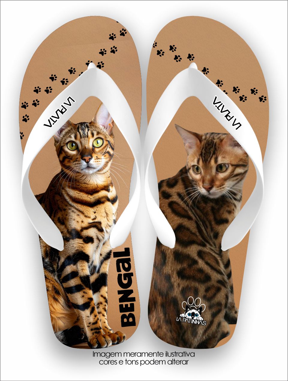 Chinelo Tradicional La Patinhas Cats Gato Bengal