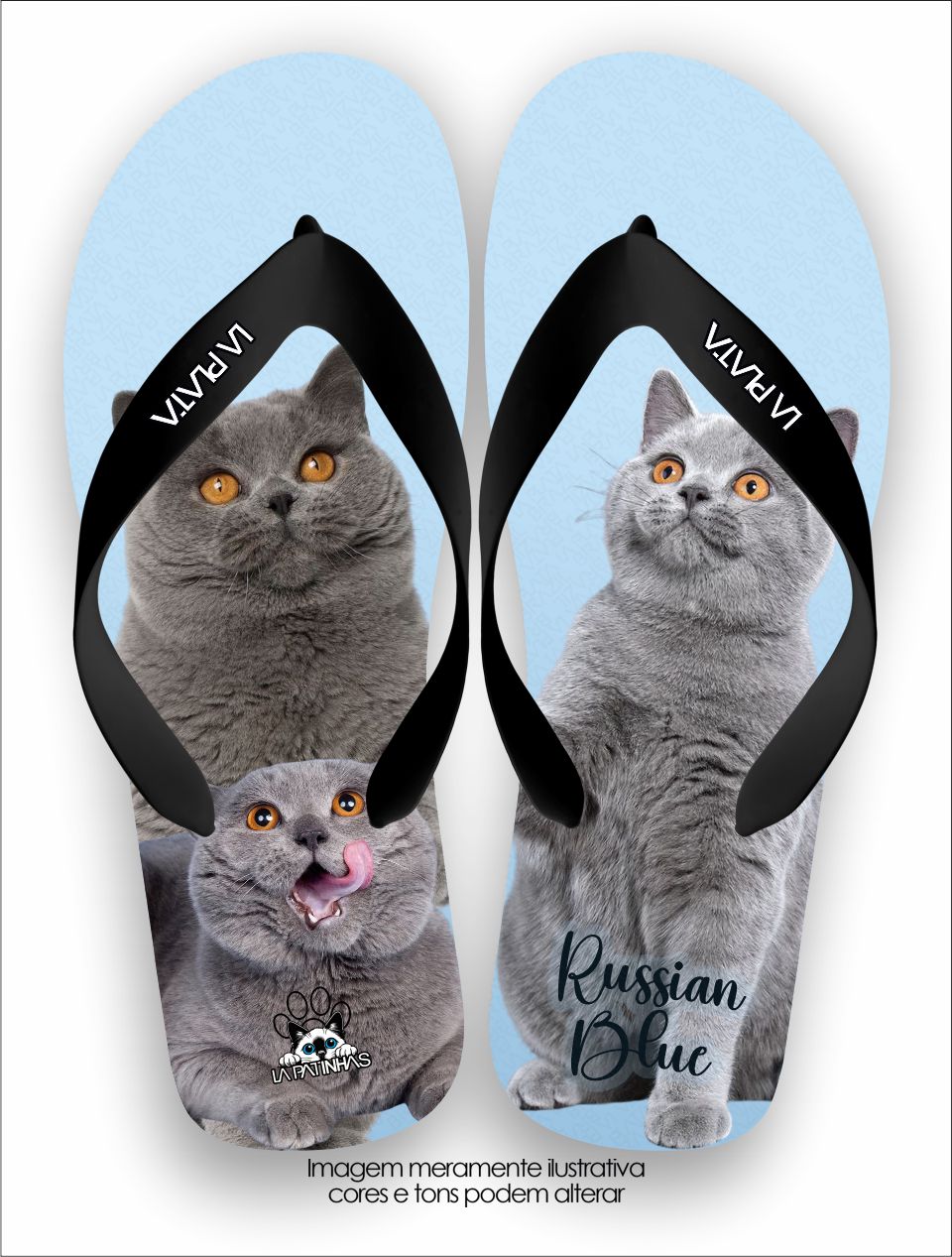 Chinelo Tradicional La Patinhas Cats Gato Russian Blue