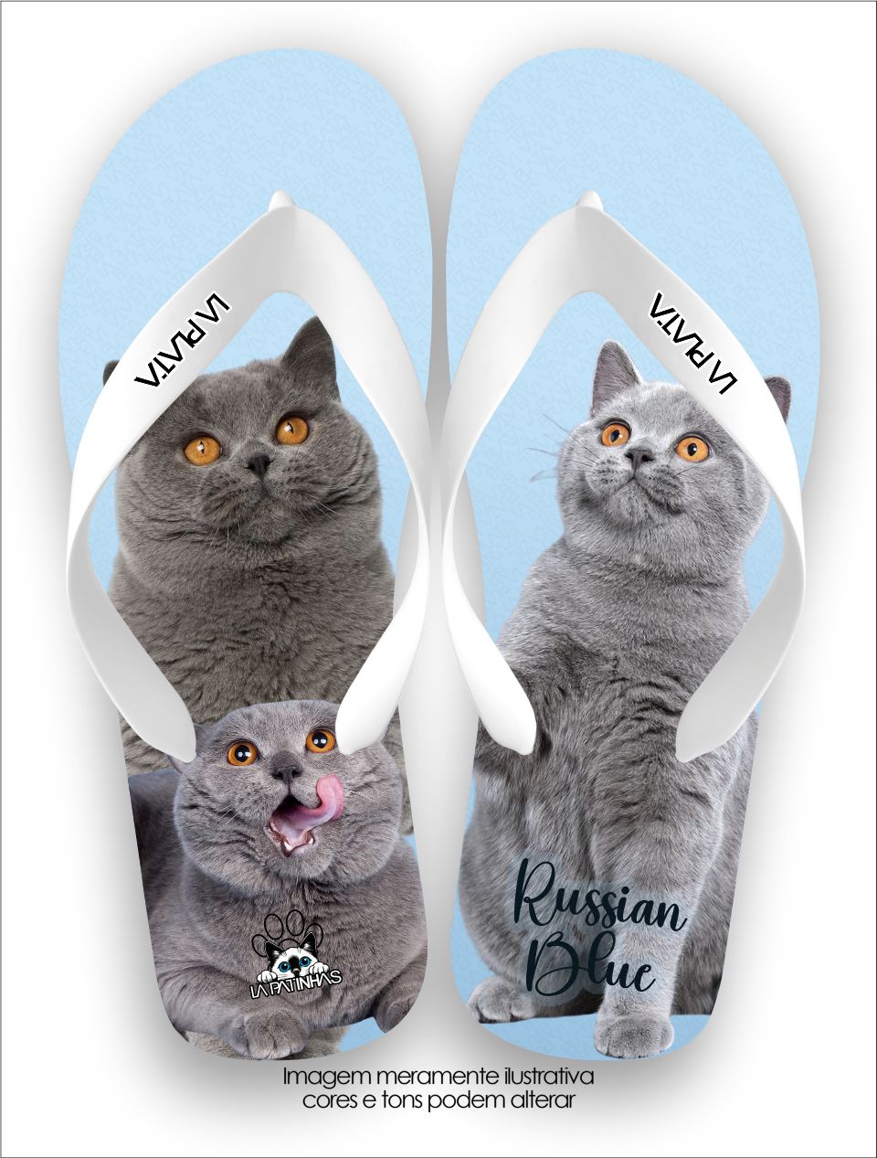 Chinelo Tradicional La Patinhas Cats Gato Russian Blue