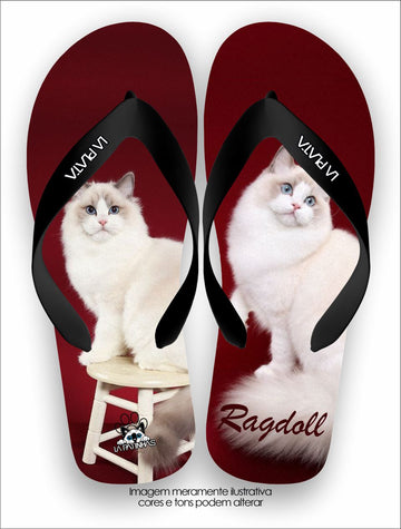 Chinelo Tradicional La Patinhas Cats Gato Ragdoll