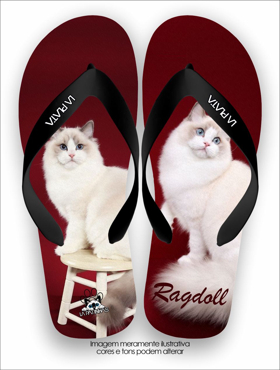 Chinelo Tradicional La Patinhas Cats Gato Ragdoll