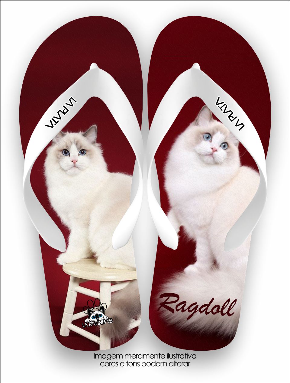 Chinelo Tradicional La Patinhas Cats Gato Ragdoll