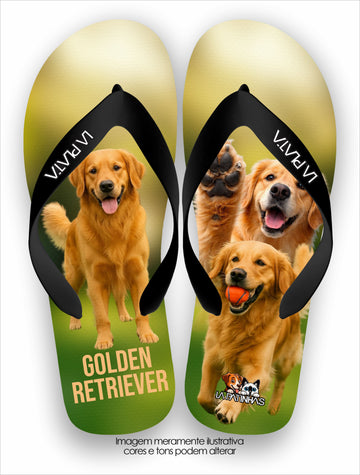 Chinelo Tradicional La Patinhas Dogs Golden Retriever 01