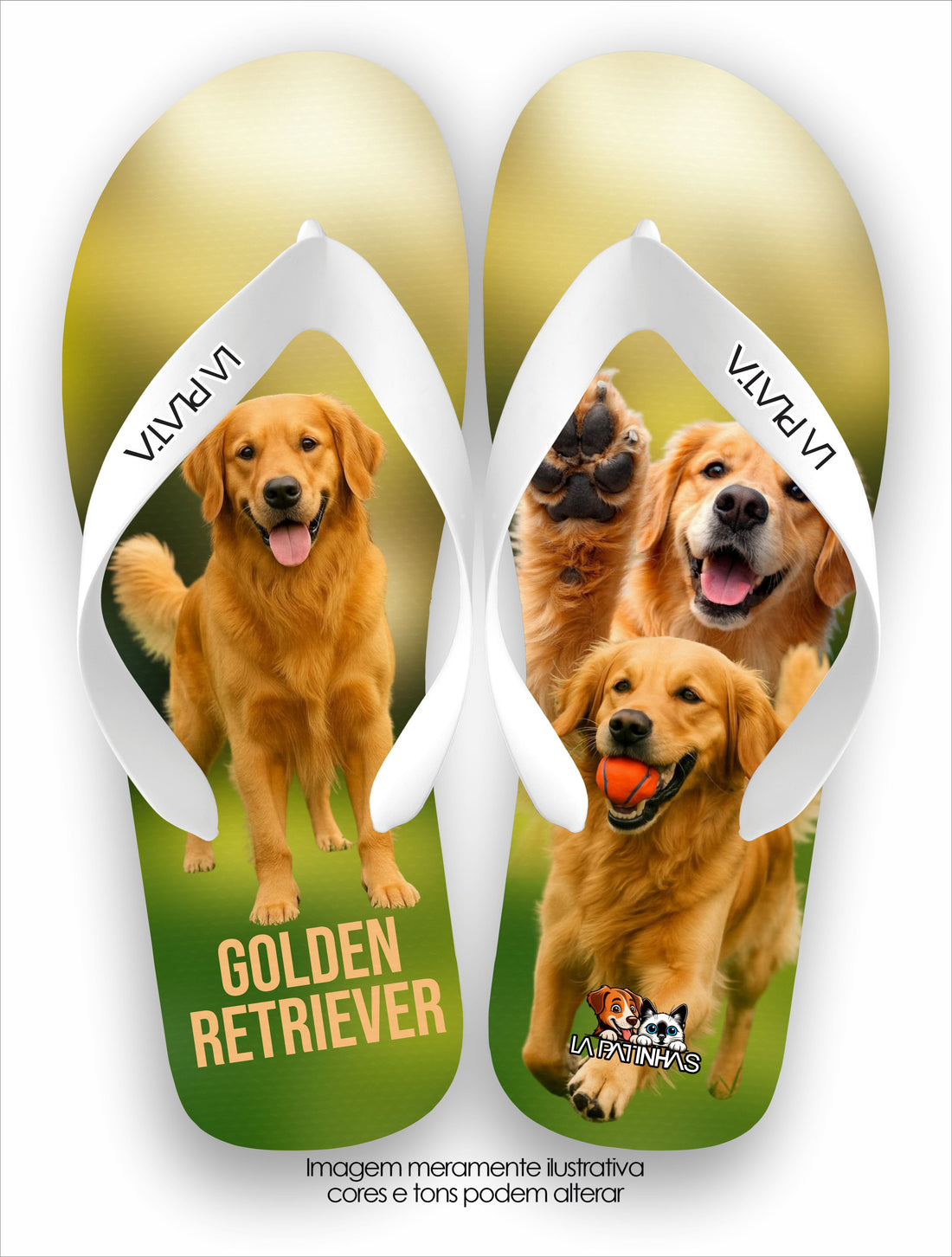 Chinelo Tradicional La Patinhas Dogs Golden Retriever 01