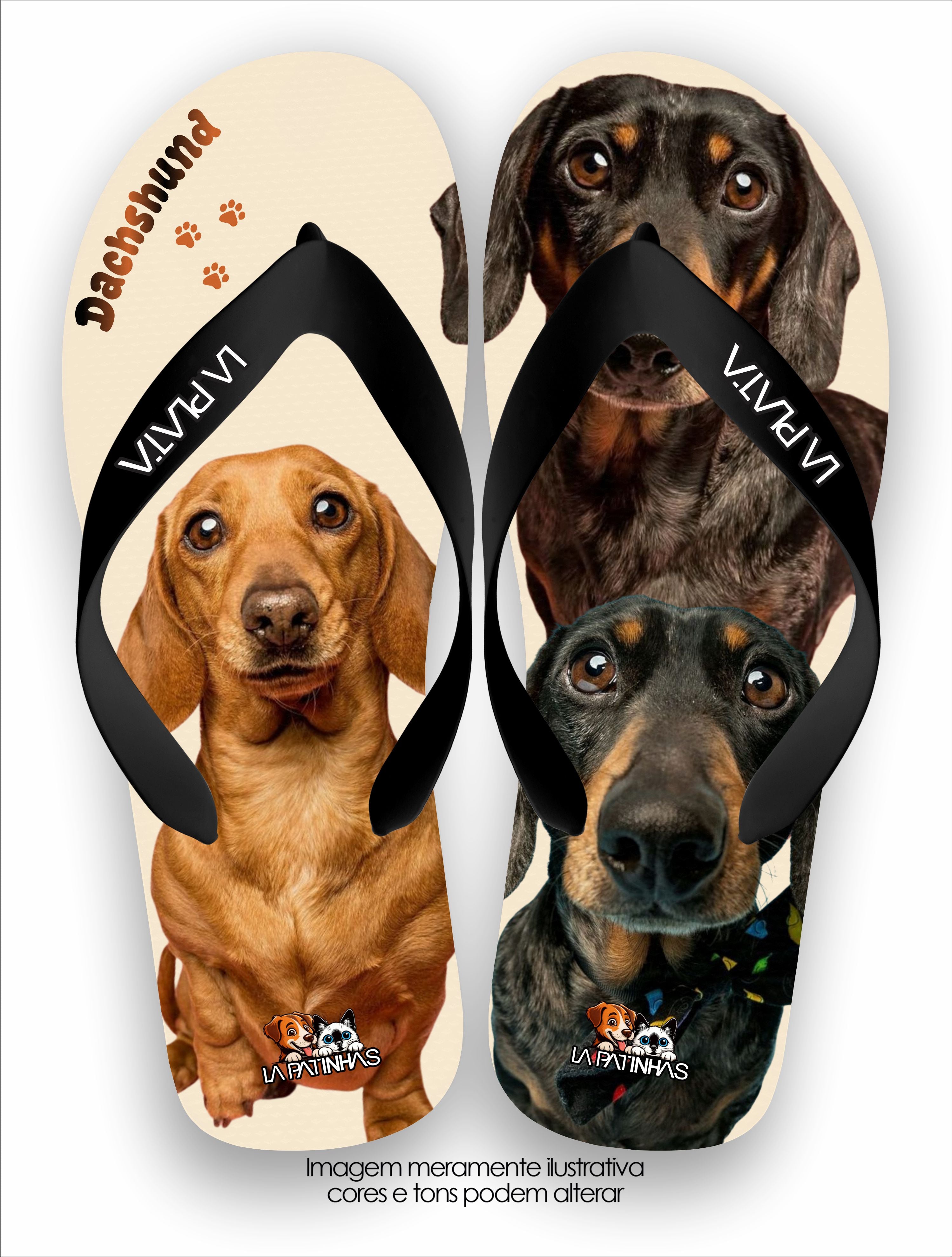 Chinelo Tradicional La Patinhas Dogs Dachshunds