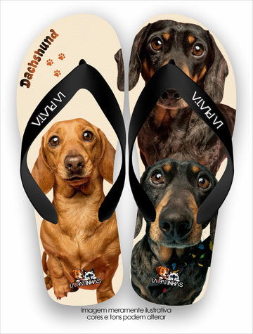 Chinelo Tradicional La Patinhas Dogs Dachshunds