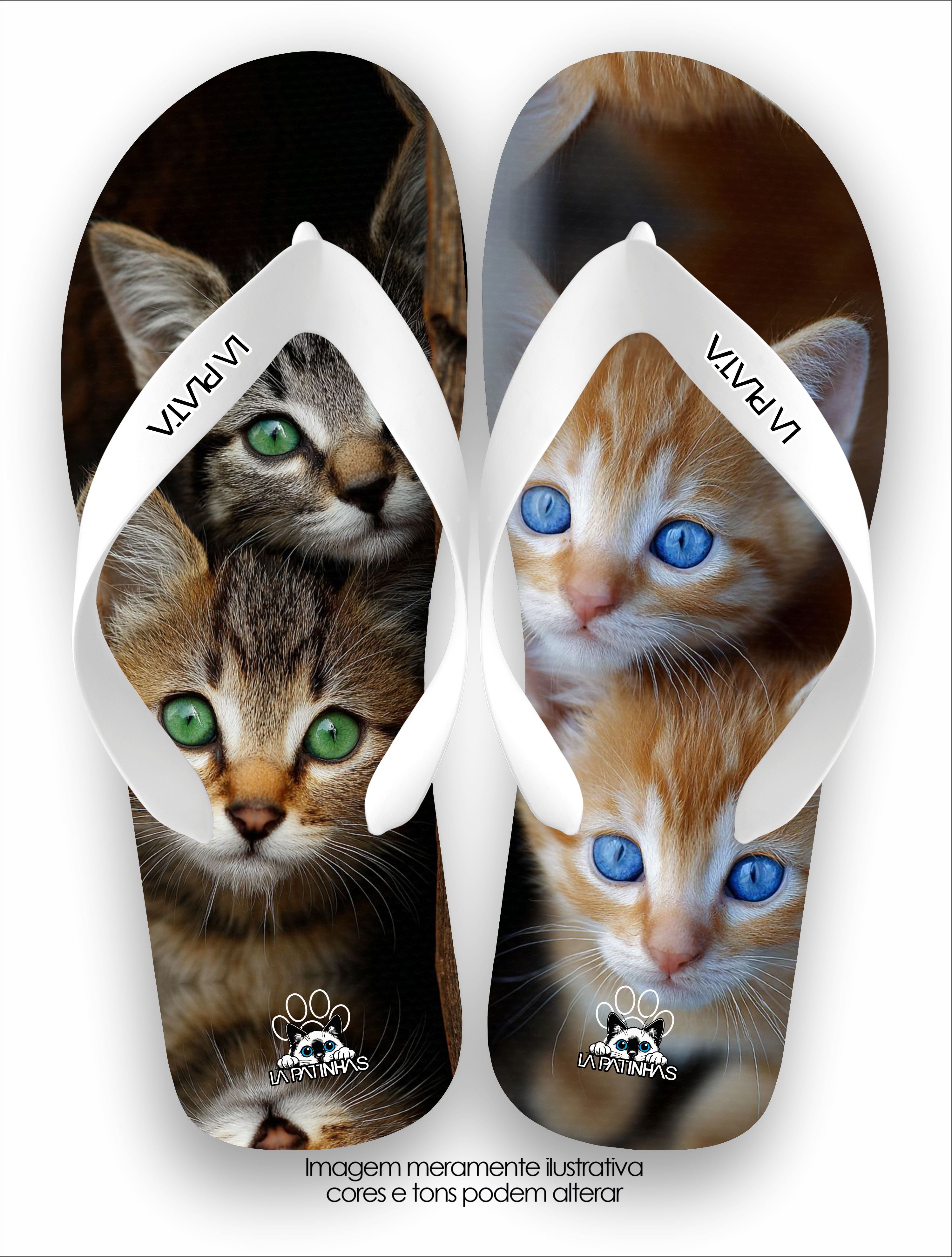 Chinelo Tradicional La Patinhas Cats Verde e Azul