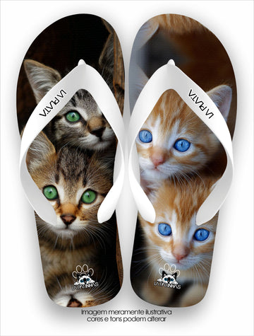 Chinelo Tradicional La Patinhas Cats Verde e Azul