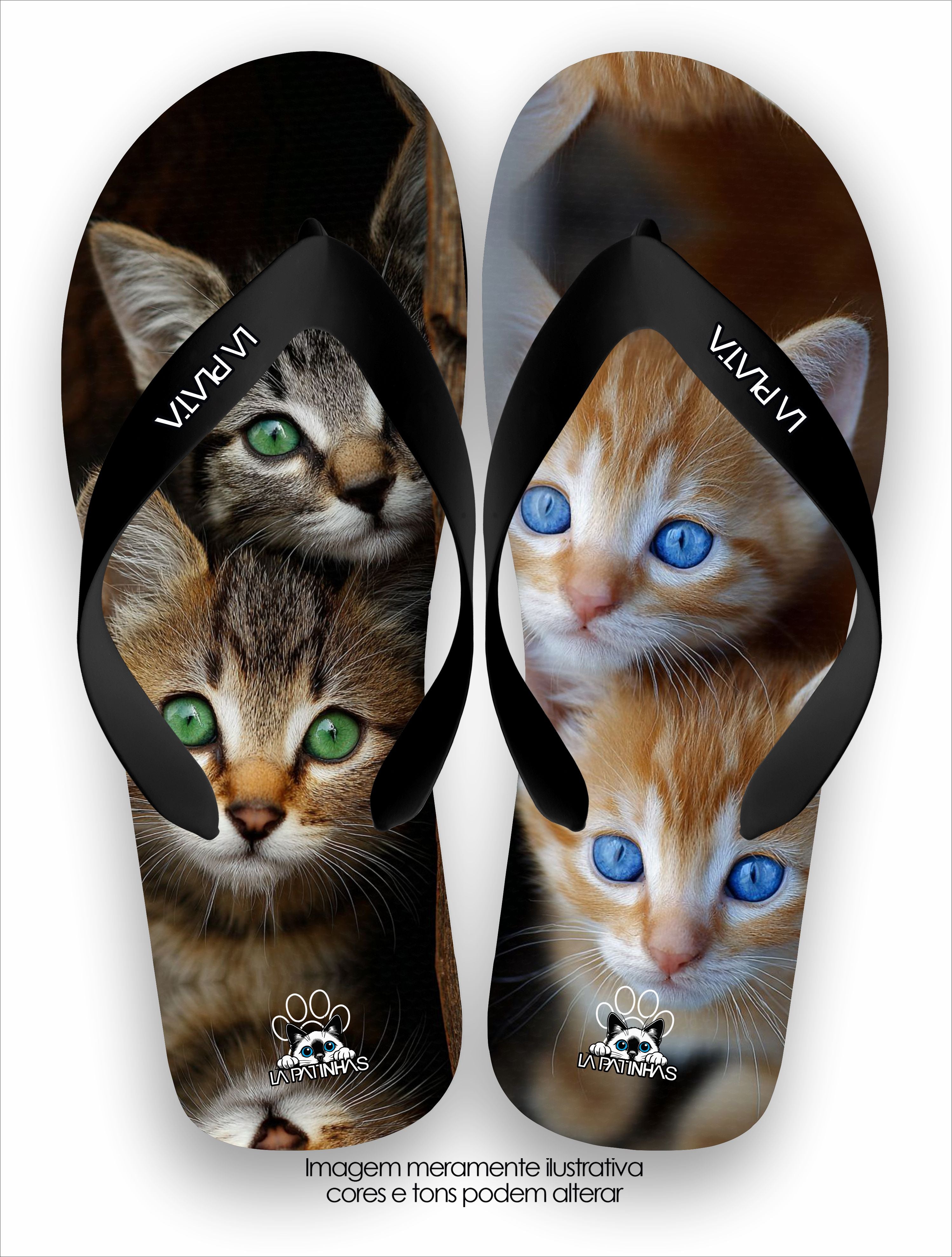 Chinelo Tradicional La Patinhas Cats Verde e Azul
