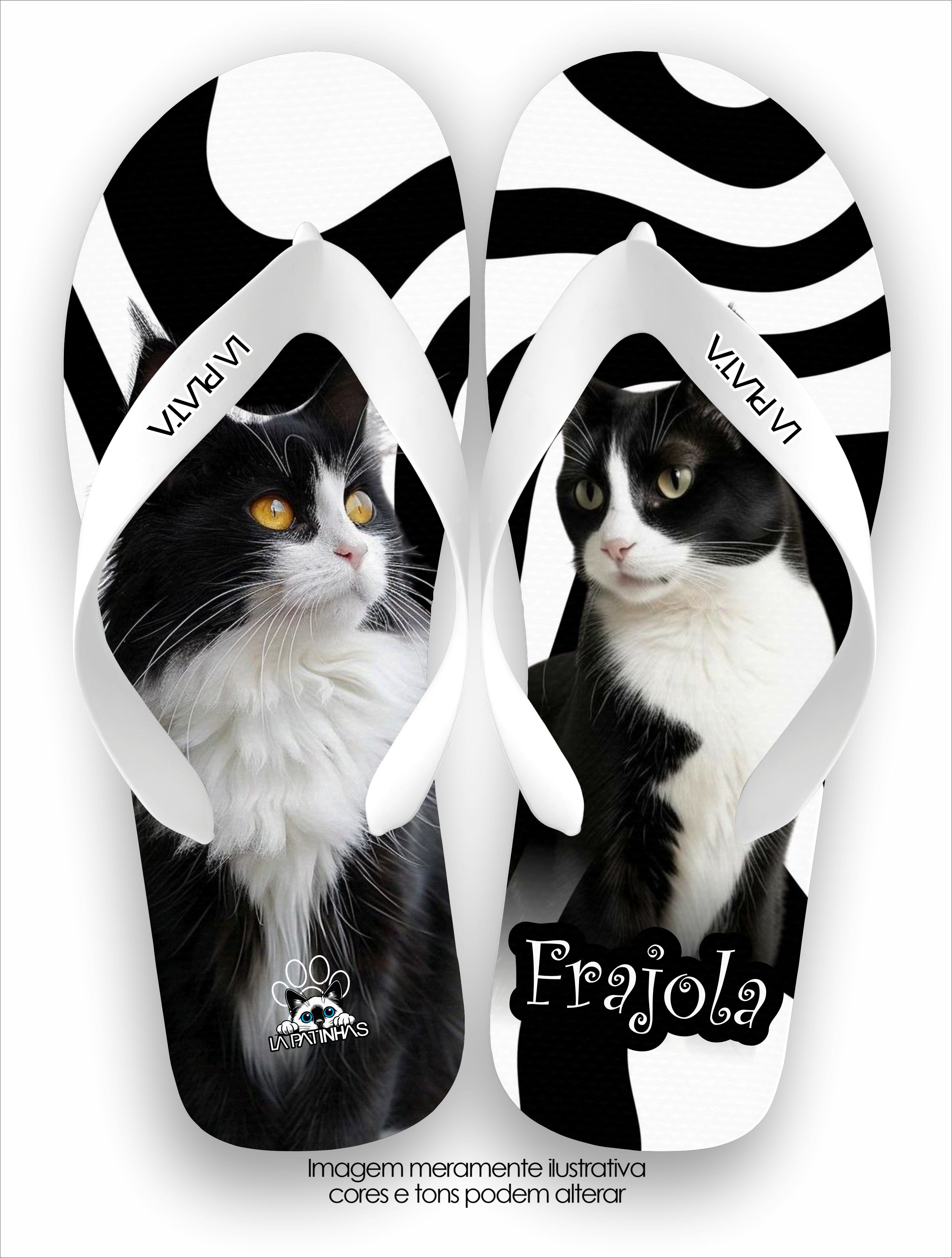 Chinelo Tradicional La Patinhas Cats Frajola