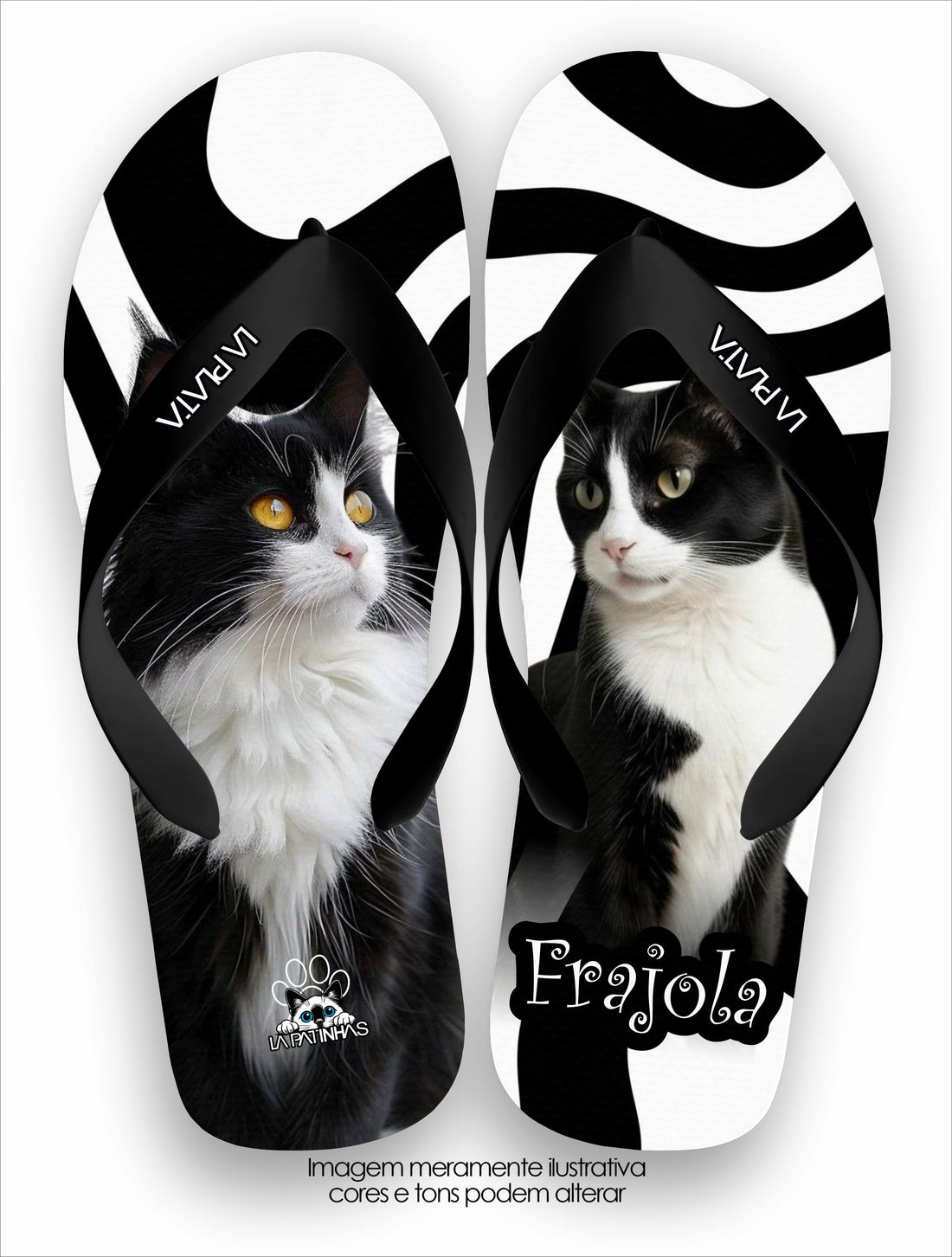 Chinelo Tradicional La Patinhas Cats Frajola