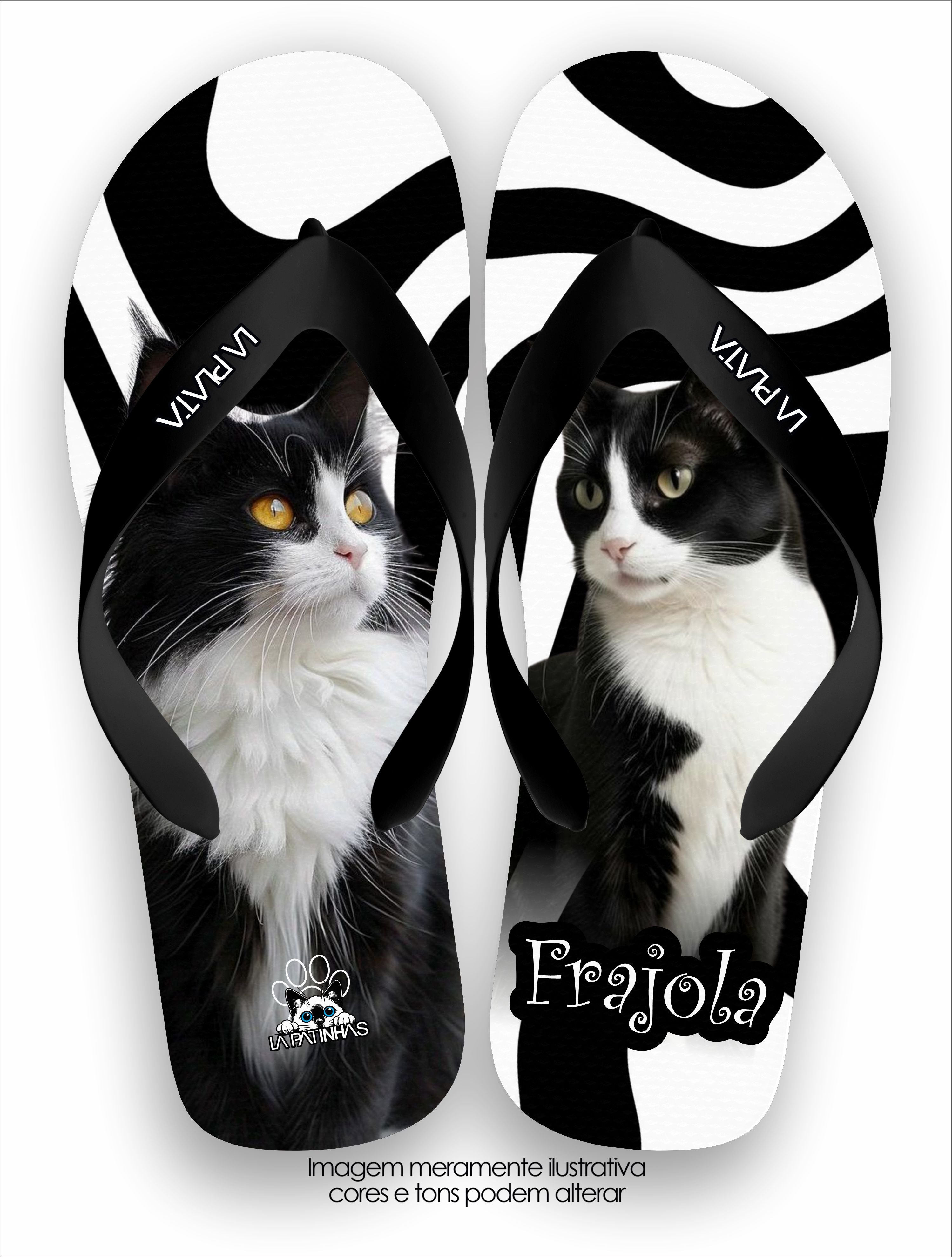 Chinelo Tradicional La Patinhas Cats Frajola