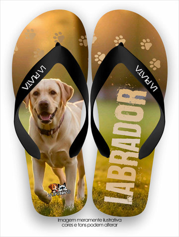 Chinelo Tradicional La Patinhas Dogs Labrador