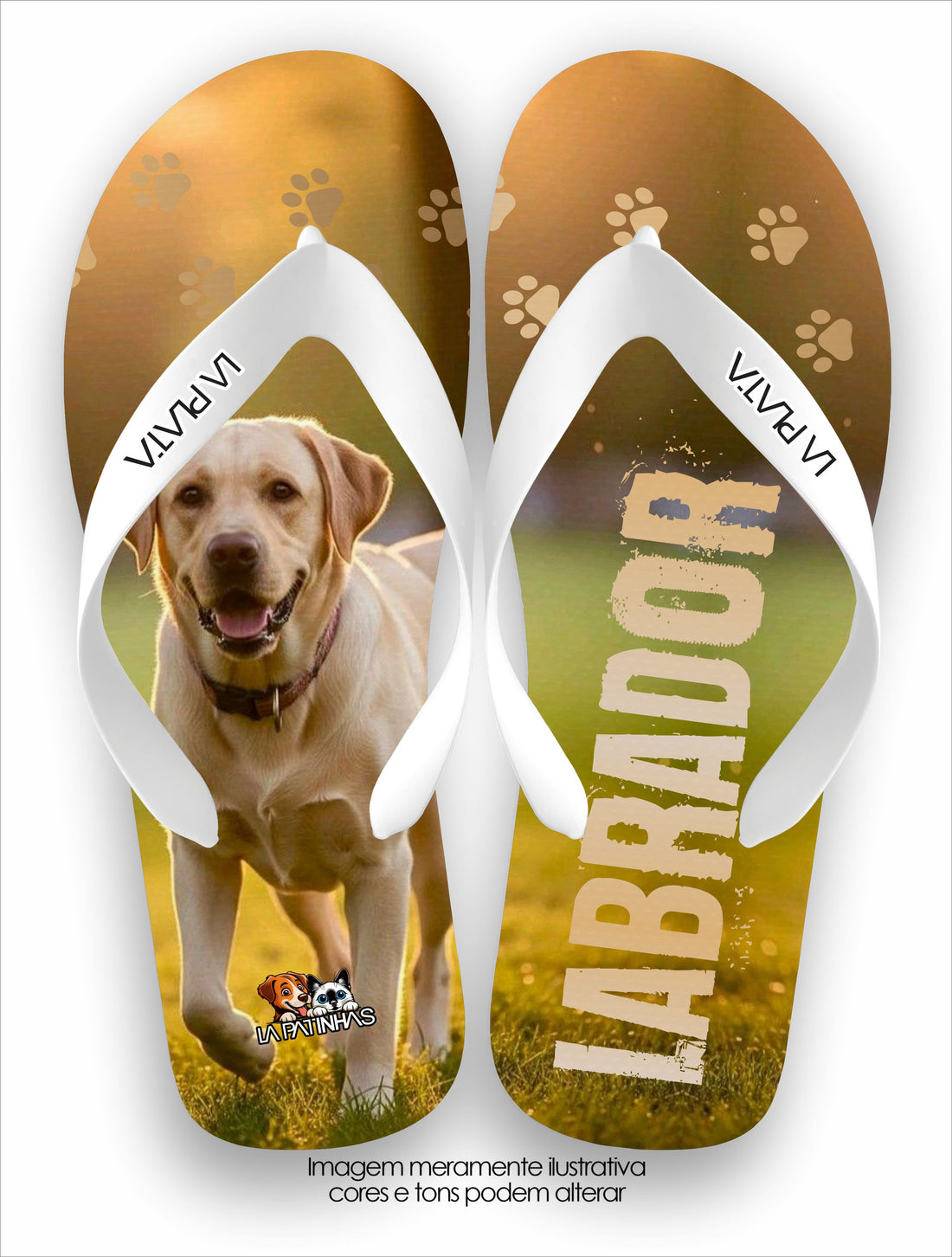 Chinelo Tradicional La Patinhas Dogs Labrador
