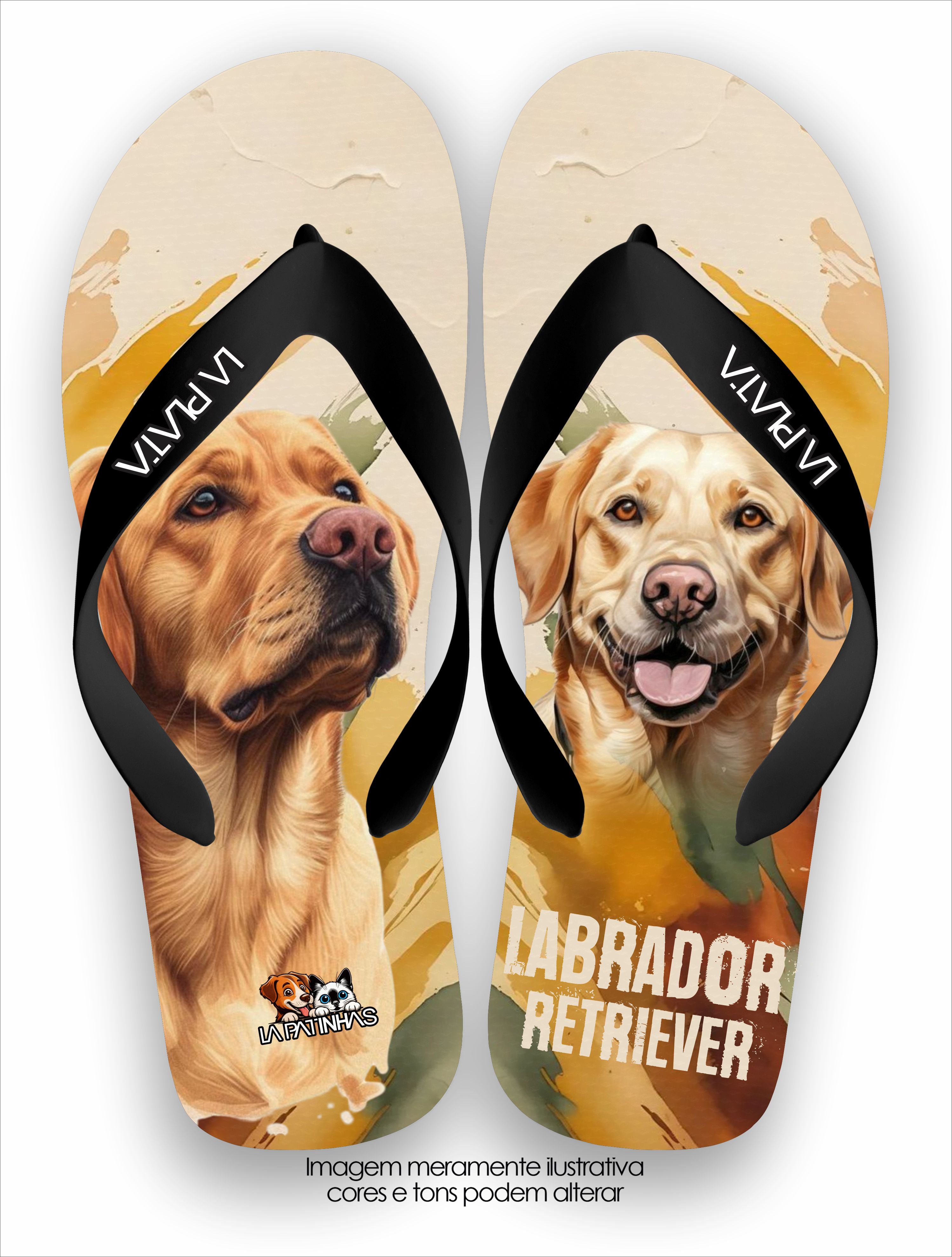 Chinelo Tradicional La Patinhas Dogs Labrador Retriever