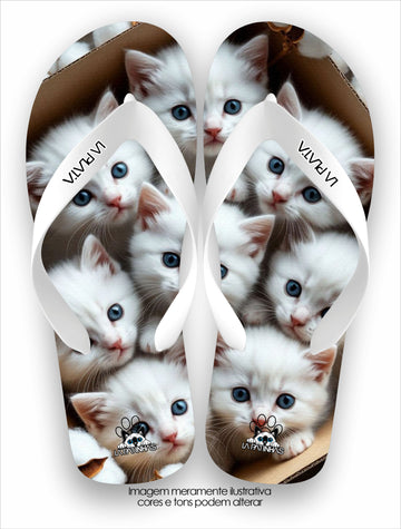 Chinelo Tradicional La Patinhas Cats in Box