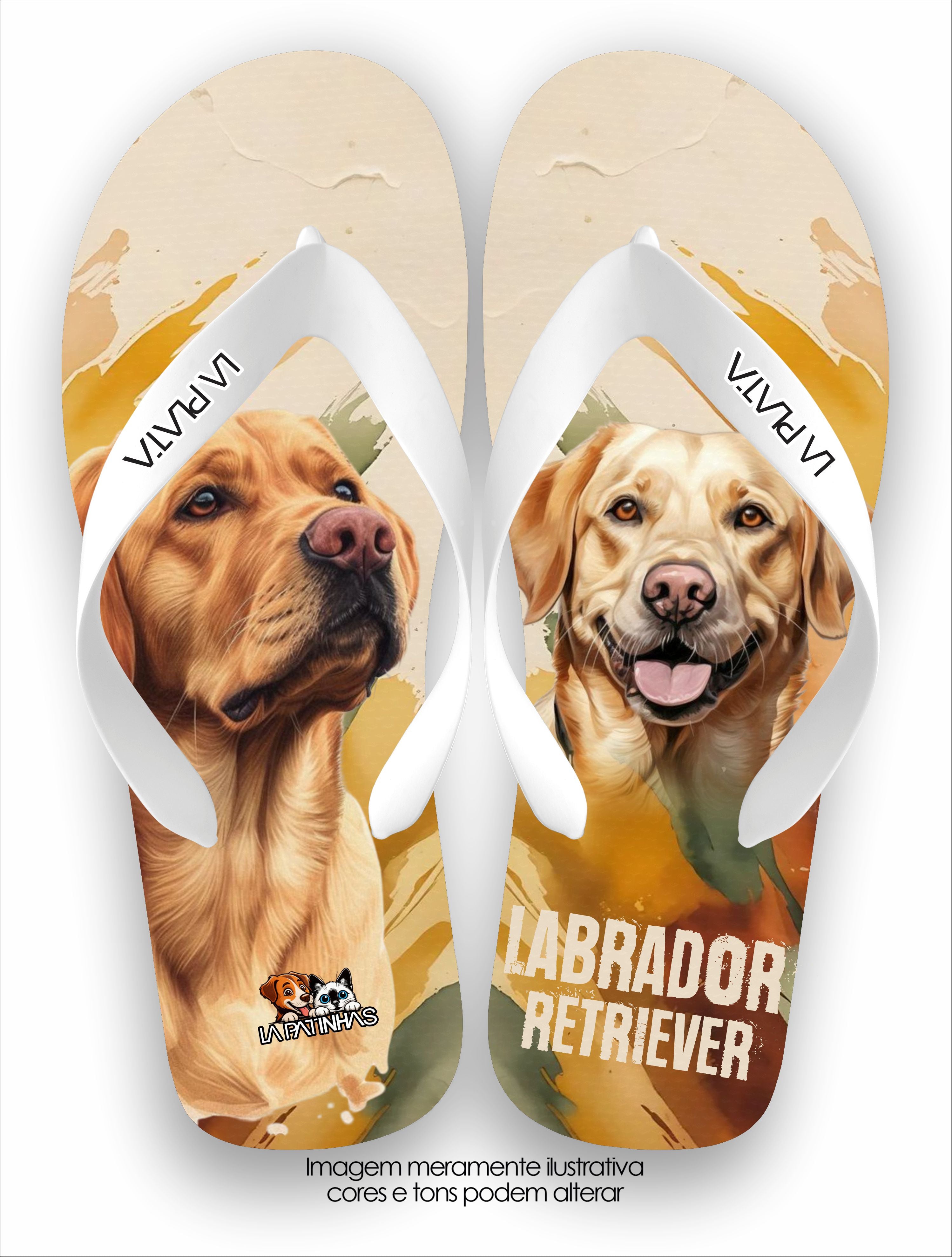 Chinelo Tradicional La Patinhas Dogs Labrador Retriever