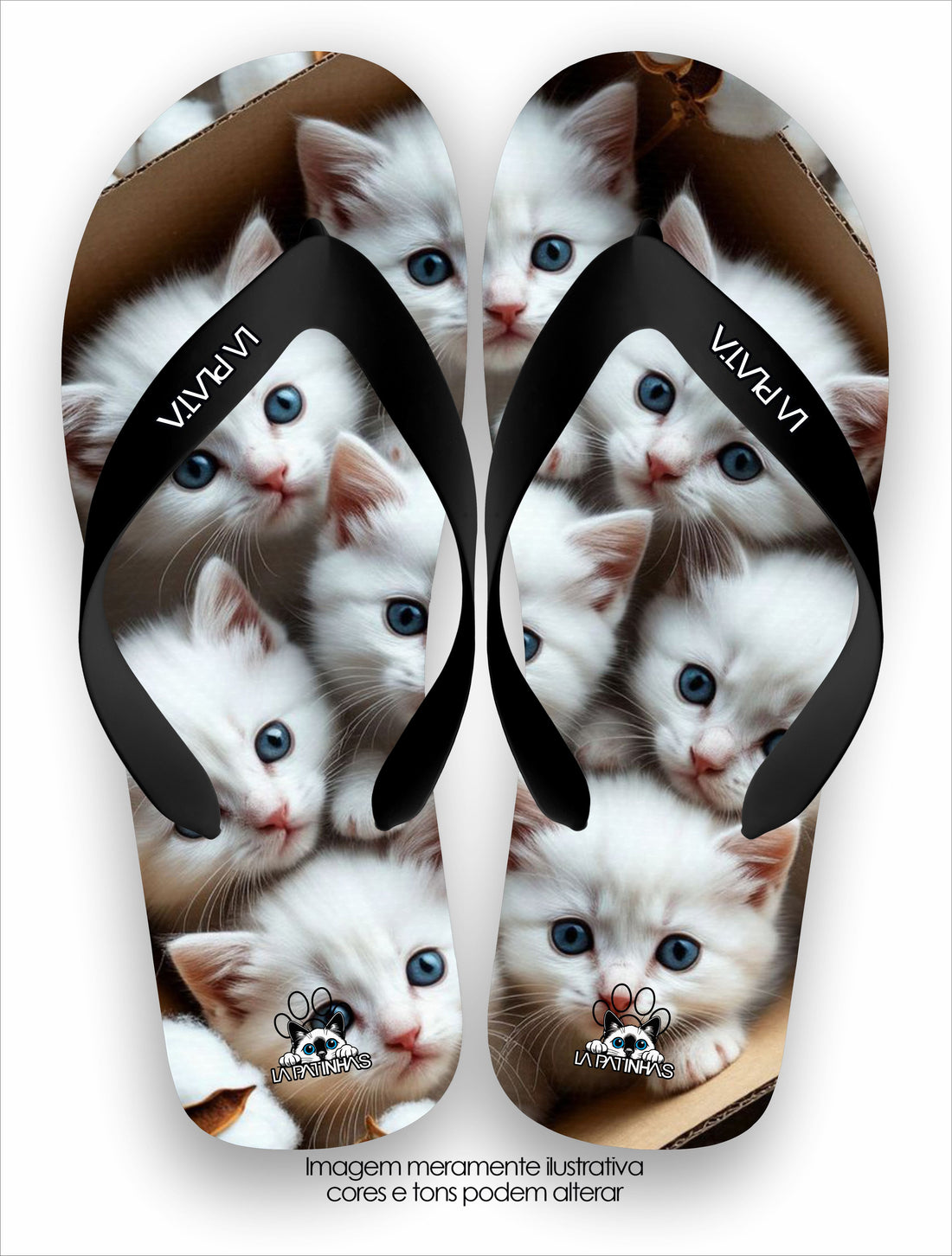Chinelo Tradicional La Patinhas Cats in Box