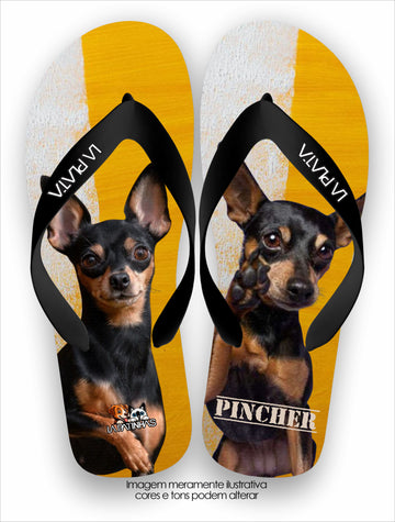 Chinelo Tradicional La Patinhas Dogs Pincher