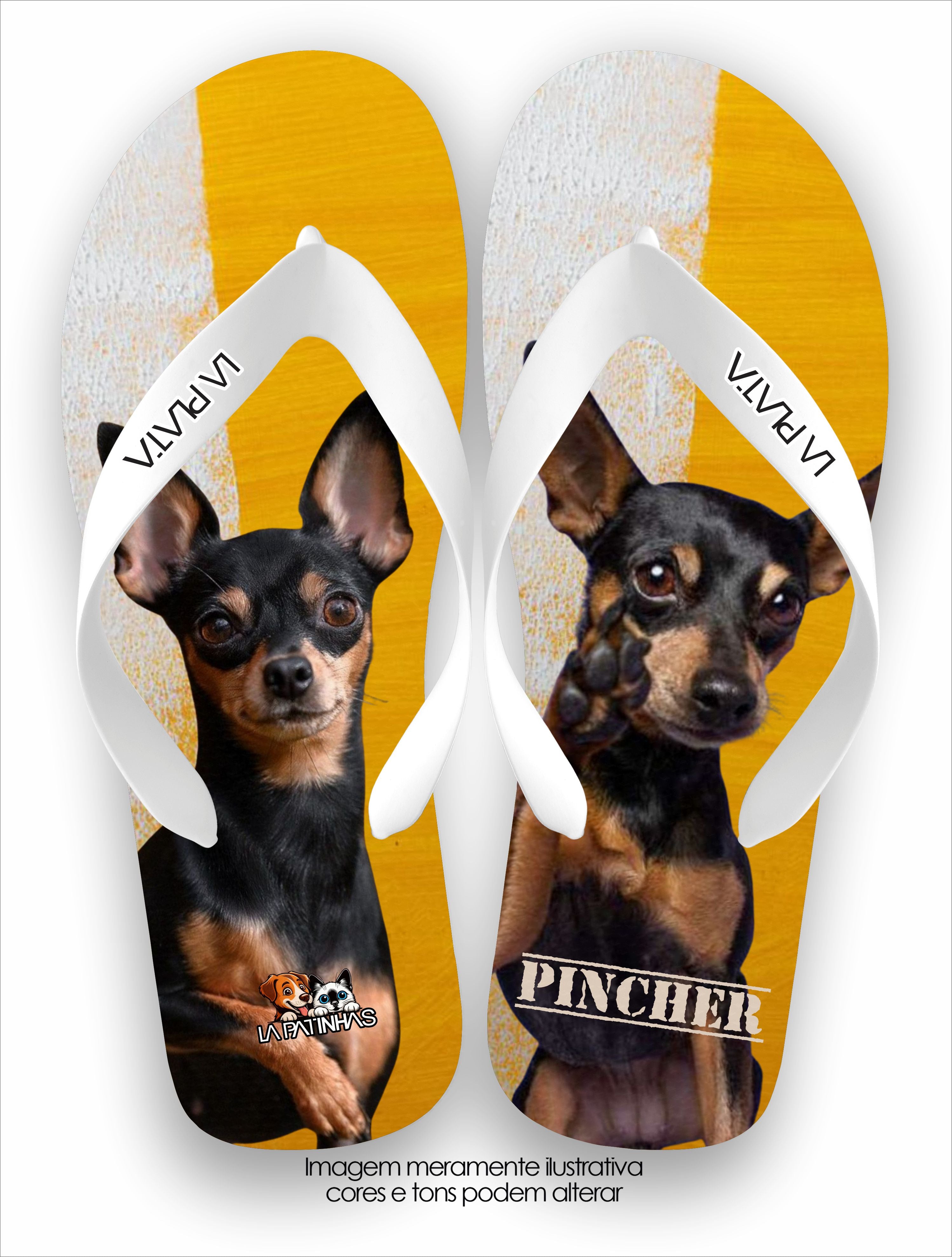 Chinelo Tradicional La Patinhas Dogs Pincher