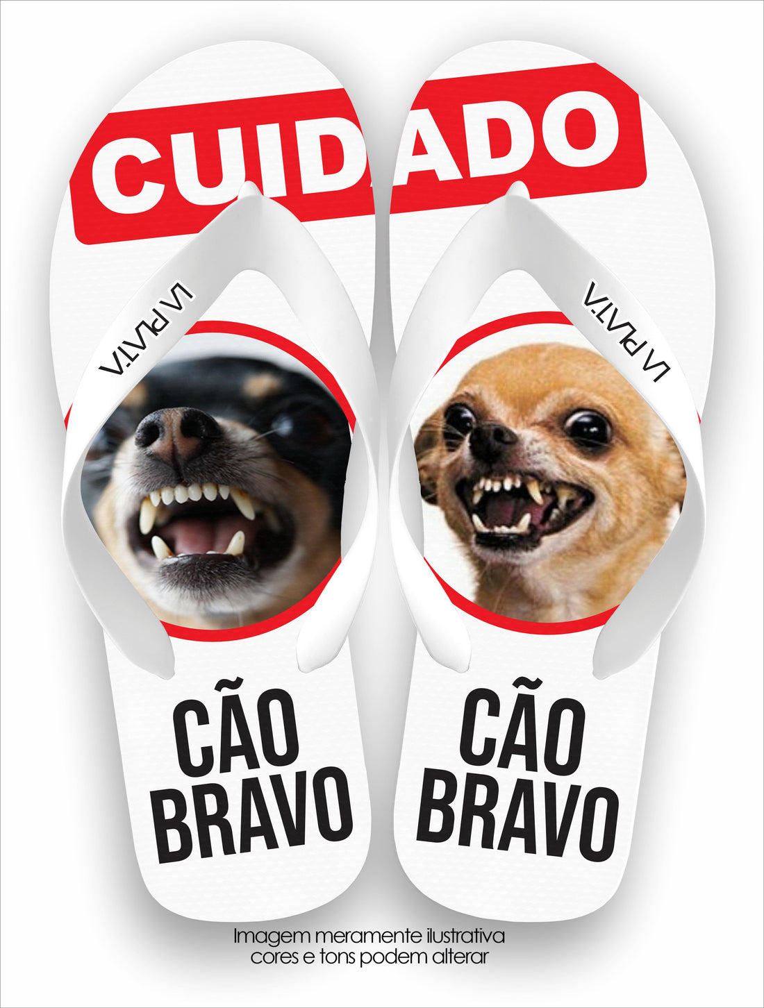Chinelo Tradicional La Patinhas Dogs Cuidado Cão Bravo