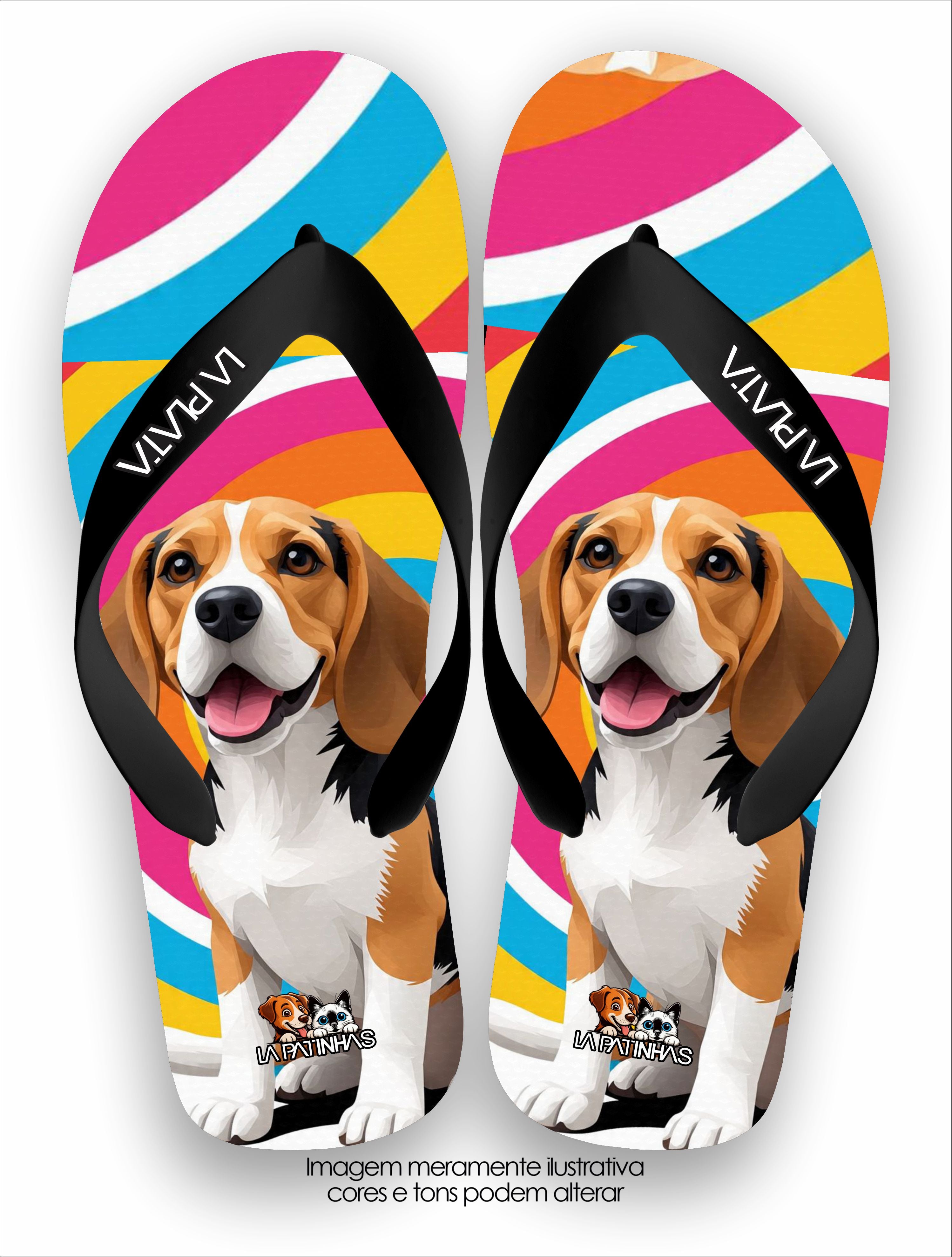 Chinelo Tradicional La Patinhas Dogs Beagle Arte