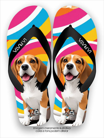 Chinelo Tradicional La Patinhas Dogs Beagle Arte