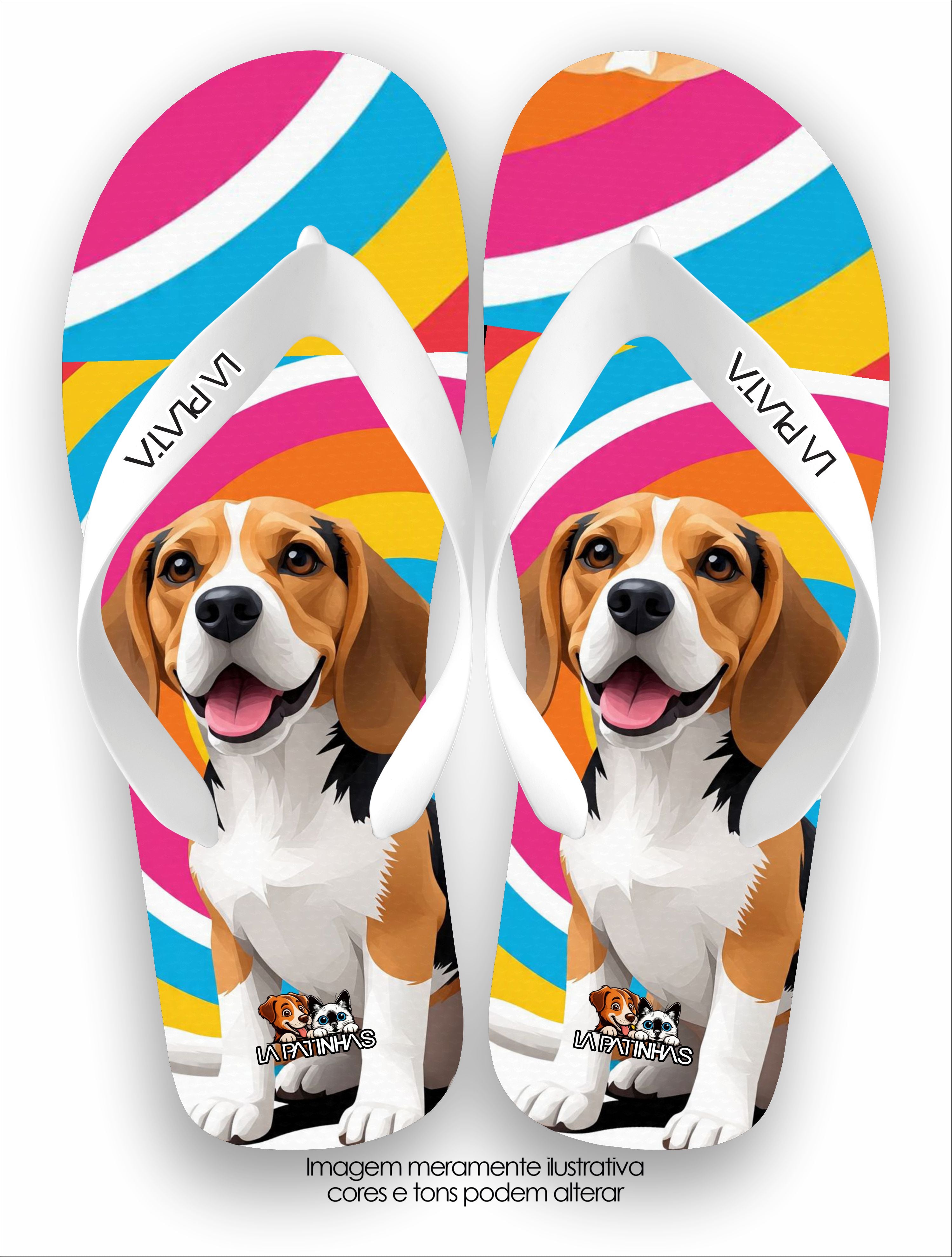Chinelo Tradicional La Patinhas Dogs Beagle Arte
