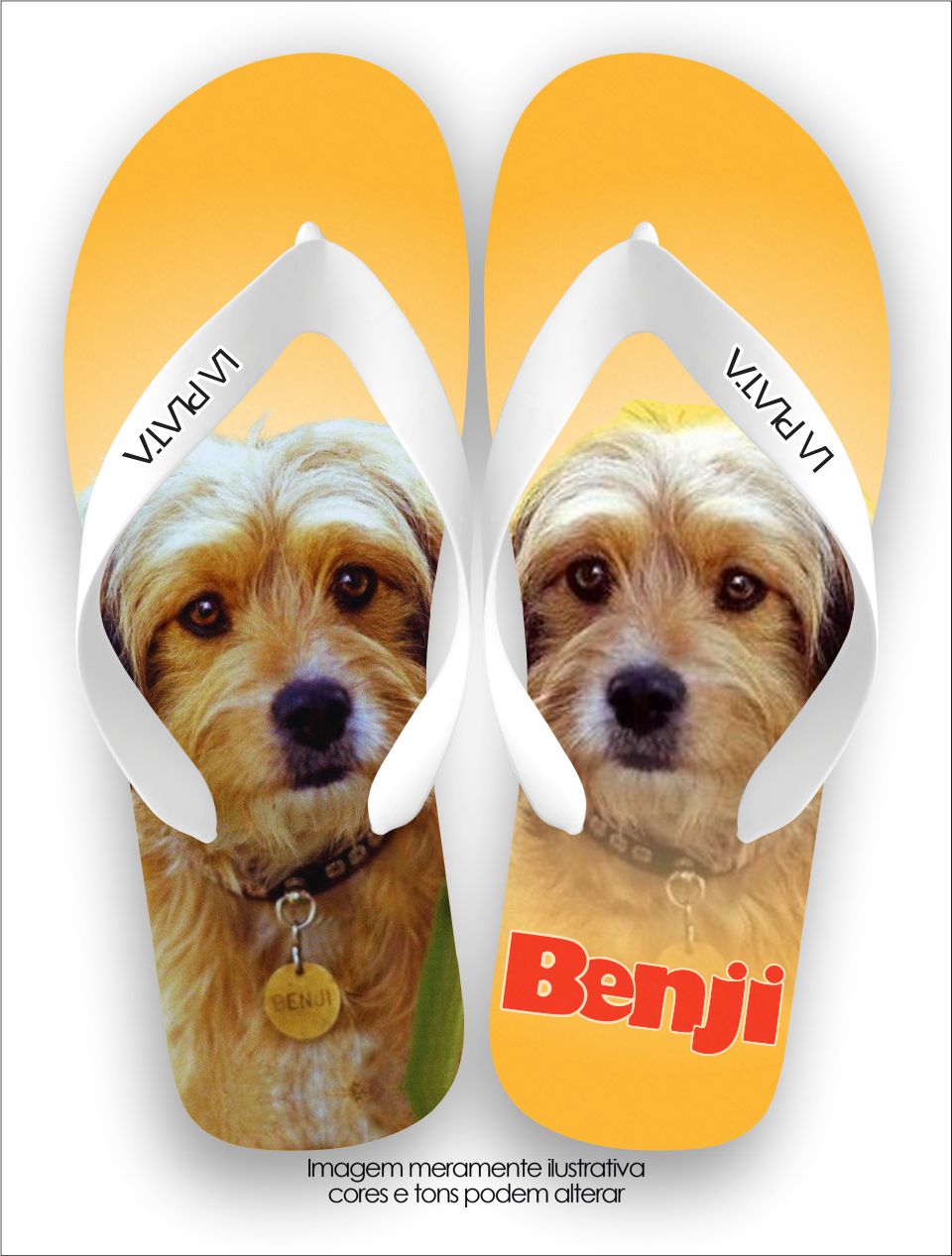 Chinelo Tradicional La Clássicos do Cinema Benji
