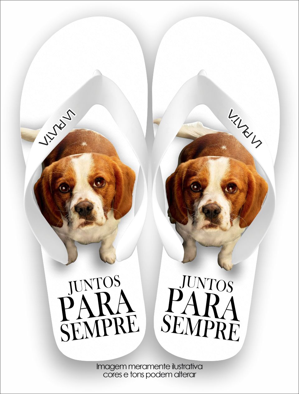 Chinelo Tradicional La Clássicos do Cinema Juntos Para Sempre