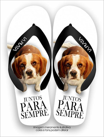 Chinelo Tradicional La Clássicos do Cinema Juntos Para Sempre