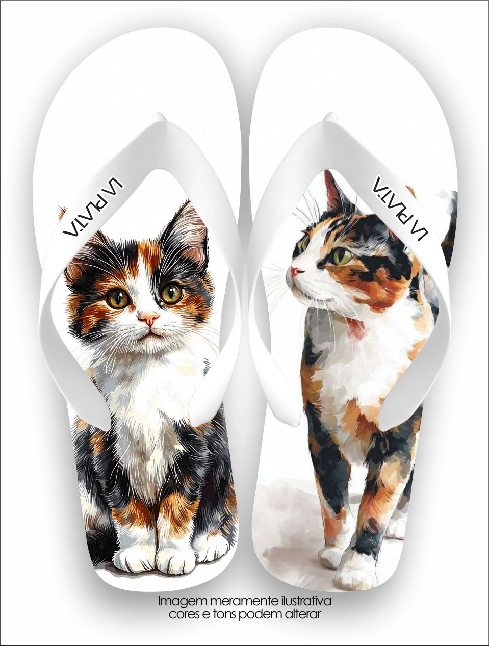 Chinelo Tradicional La Patinhas Cats Gato Calico
